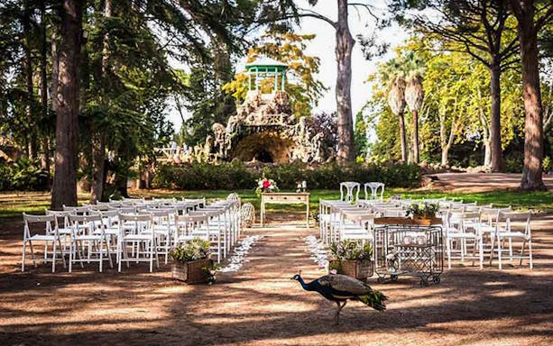 Outdoor seating setup at Parc Samà with a peacock in the foreground.