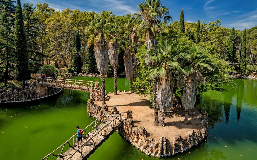 Bridge over green pond at Parc Samà, surrounded by palm trees and lush greenery.