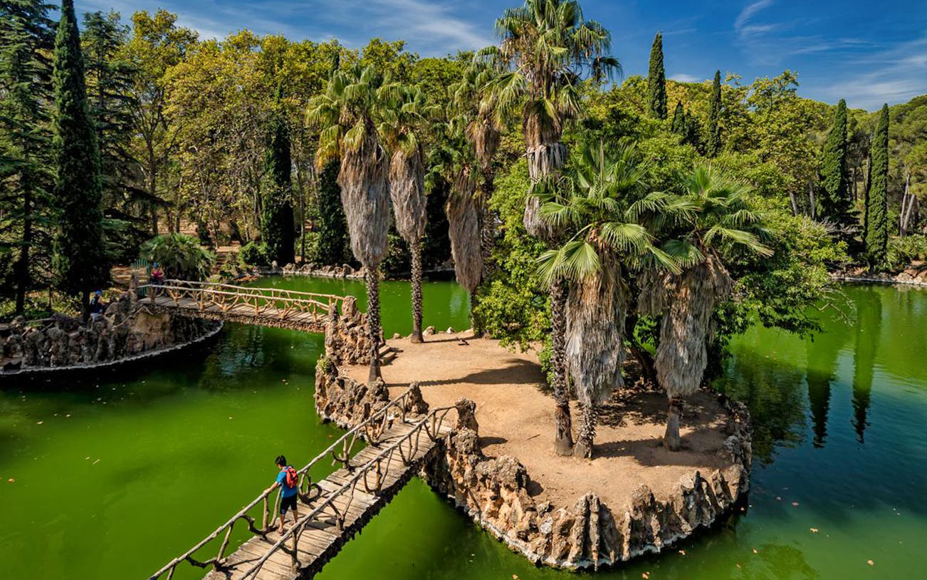 Bridge over green pond at Parc Samà, surrounded by palm trees and lush greenery.
