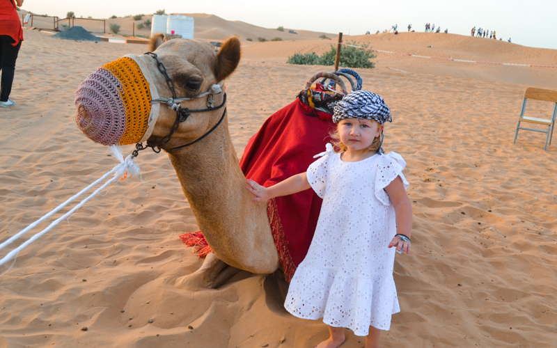 Morning Desert Safari