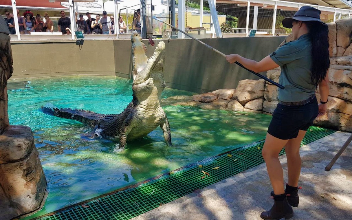 Crocodile feeding demonstration at Crocosaurus Cove, Darwin.