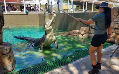 Crocodile feeding demonstration at Crocosaurus Cove, Darwin.