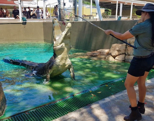 Crocosaurus Cove Tickets