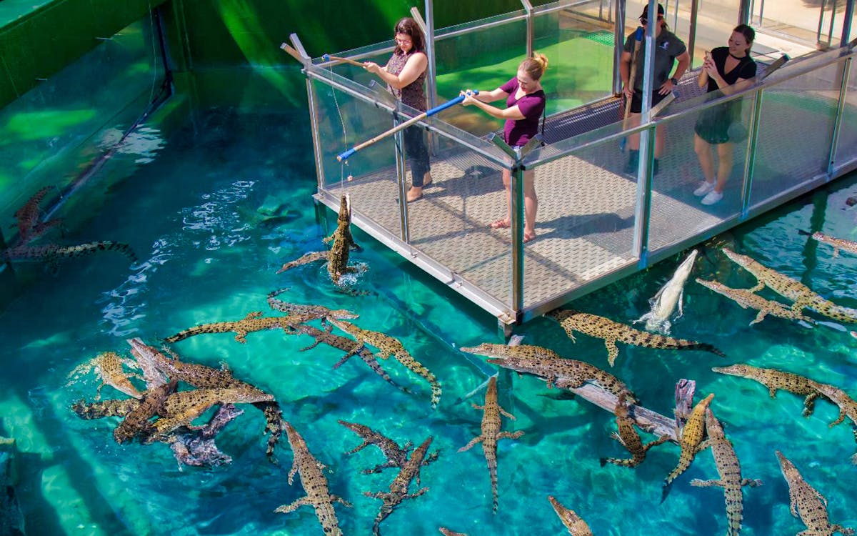 combo: 24-hr hop-on hop-off tour of darwin + crocosaurus cove tickets-2 combo: 24-hr hop-on hop-off tour of darwin + crocosaurus cove tickets-2
