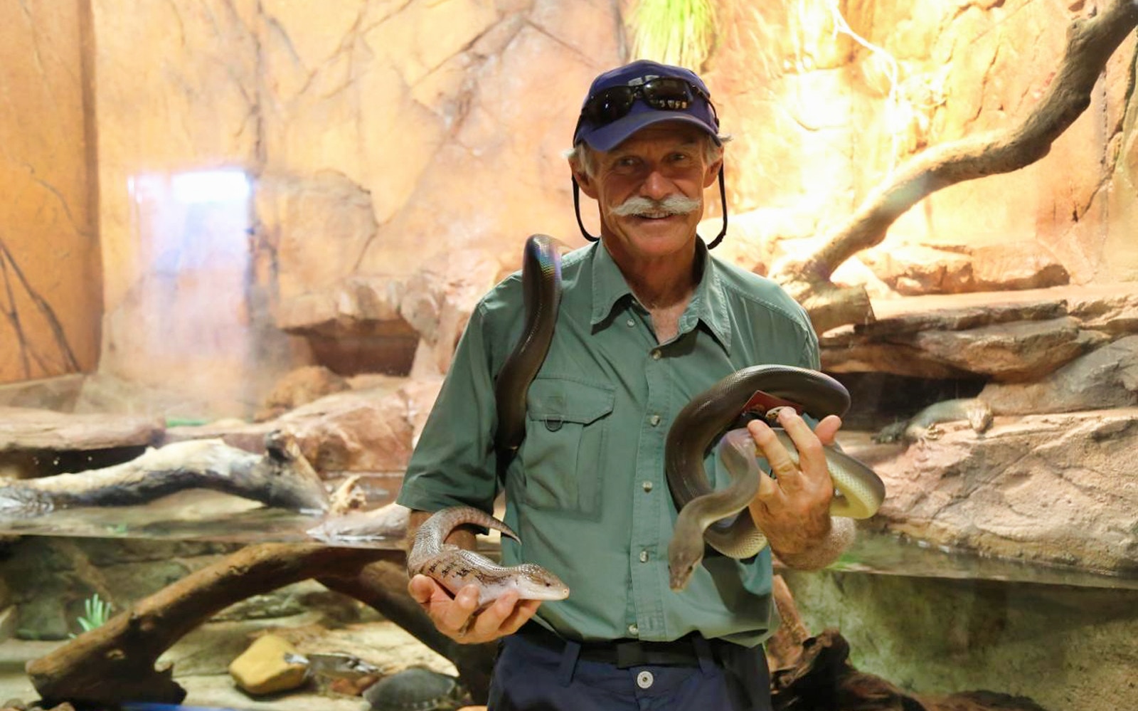 Man holding snakes at Crocosaurus Cove exhibit.