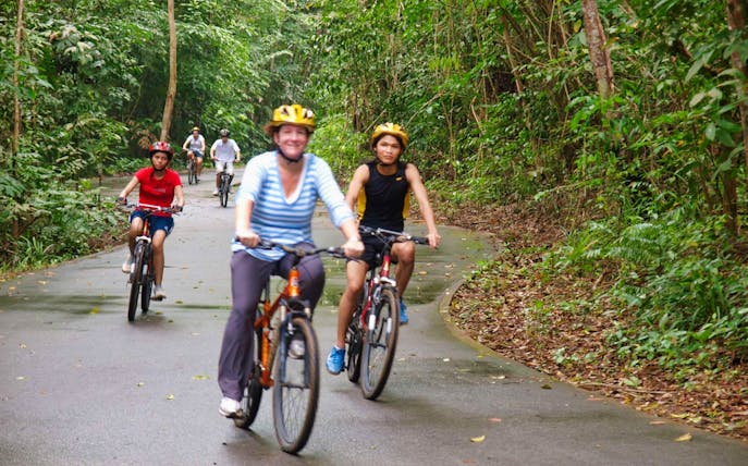 Cyclists riding through lush greenery on a Pulau Ubin cycling tour.