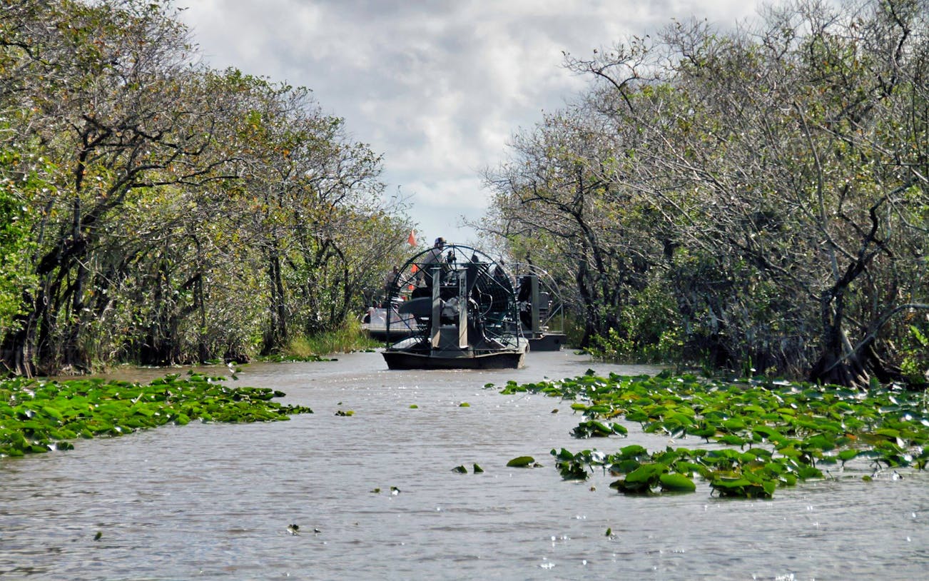 Airboat navigating through Everglades waterway with surrounding trees and vegetation.