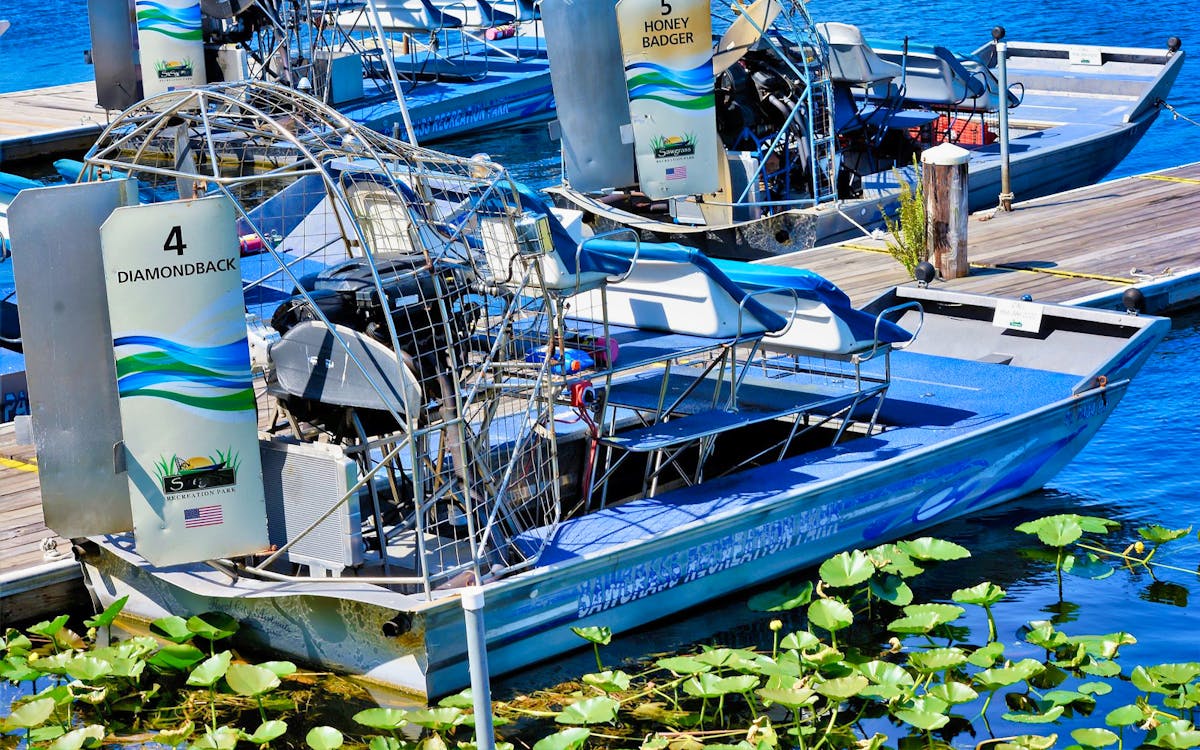 airboat and alligator show with transfers from miami-3 airboat and alligator show with transfers from miami-3