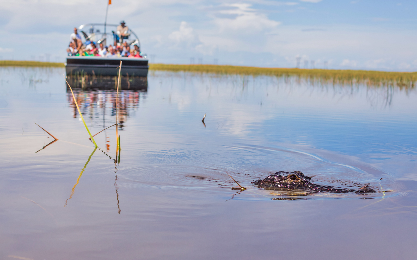 Book Everglades Airboat Tour With Sawgrass Park Exhibit Entry | Headout