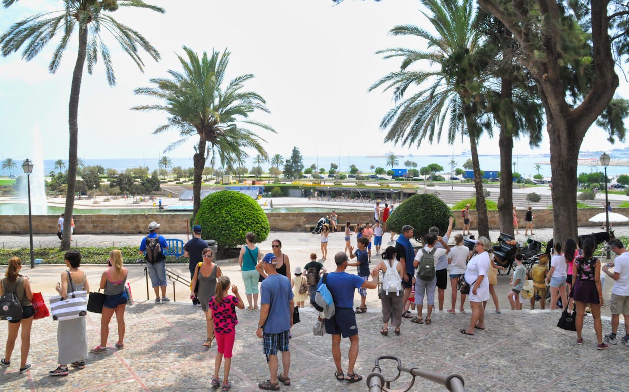 Tourists gathering near palm trees with a view of the sea in Palma, Mallorca.