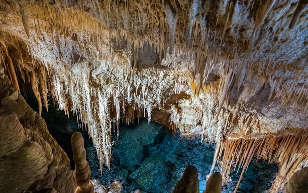 Stalactites and stalagmites in the Caves of Drach, Mallorca, on a half-day tour.