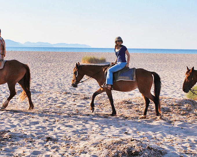 Horse Riding on the Beach in Mallorca