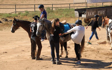 Horse riding preparation at a ranch in Mallorca.