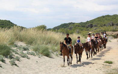 Group horse riding along a sandy beach trail in Mallorca.