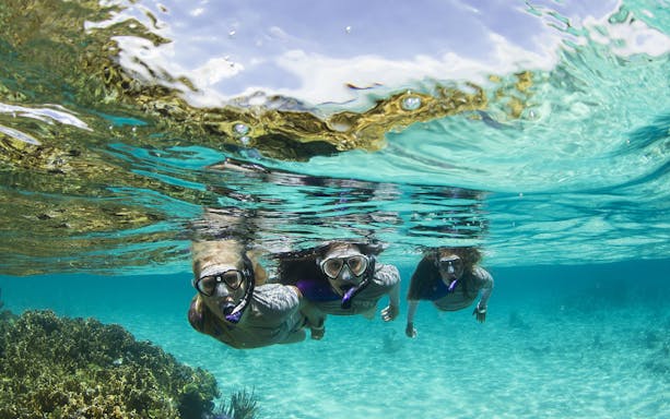 Snorkelers exploring underwater near coral reef in Pollensa Bay during Robinson Catamaran Excursion.