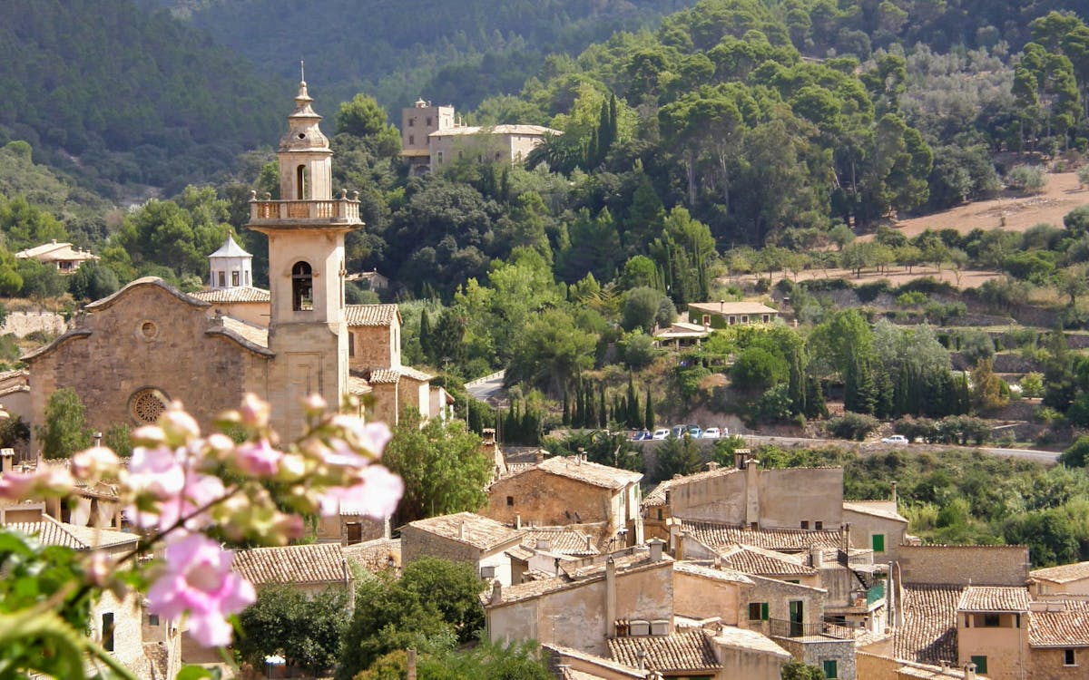 mallorca sightseeing tour : boat + vintage train-3 mallorca sightseeing tour : boat + vintage train-3