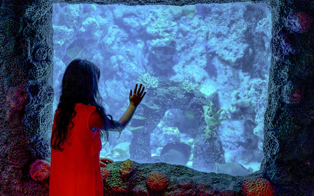 Réservez vos billets Sea Life Istanbul Headout - Main Image