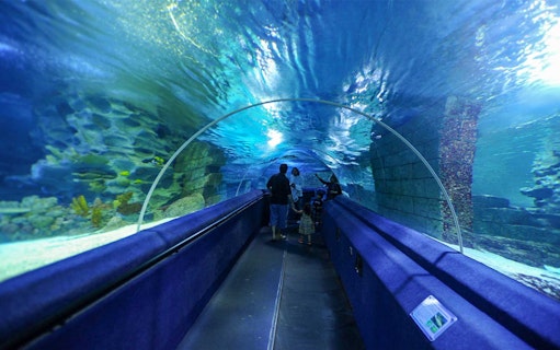 Visitors walking through underwater tunnel at Sea Life Istanbul.