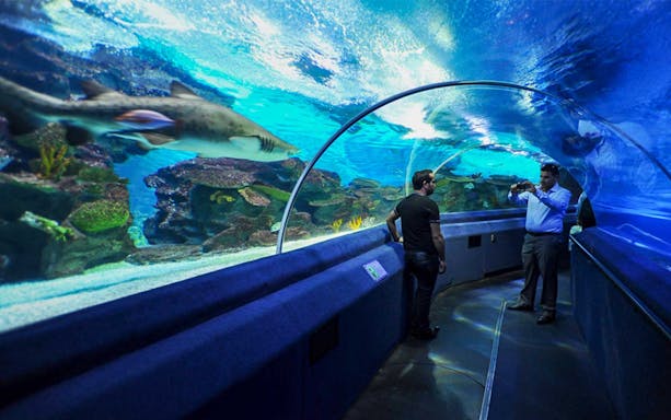 Visitors in underwater tunnel at Sea Life Istanbul, viewing marine life.