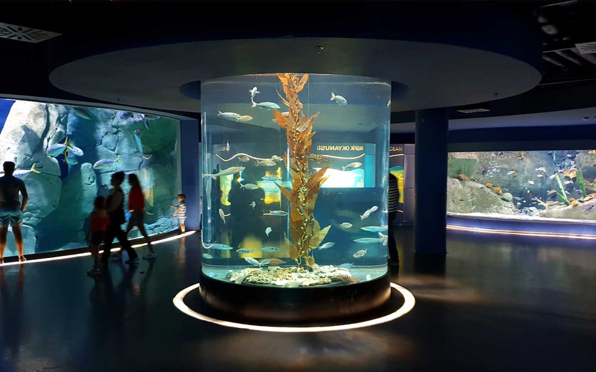 billet sea life istanbul-9 billet sea life istanbul-9