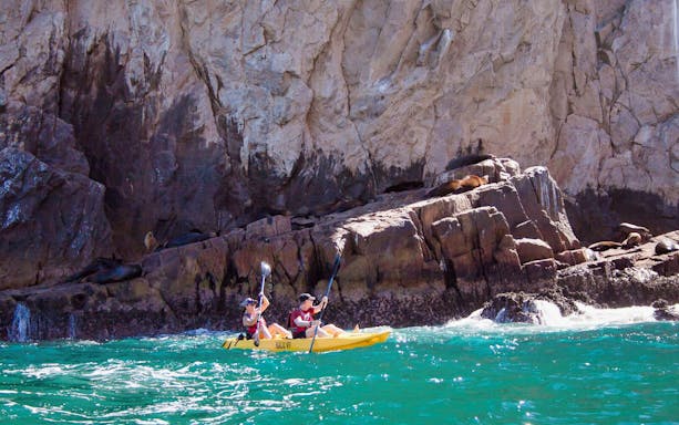 Kayakers paddle near sea lions on rocky shore during Glass Bottom Kayaks & Snorkeling Tour at the Arch.