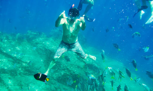 Cabo Attraction Tickets