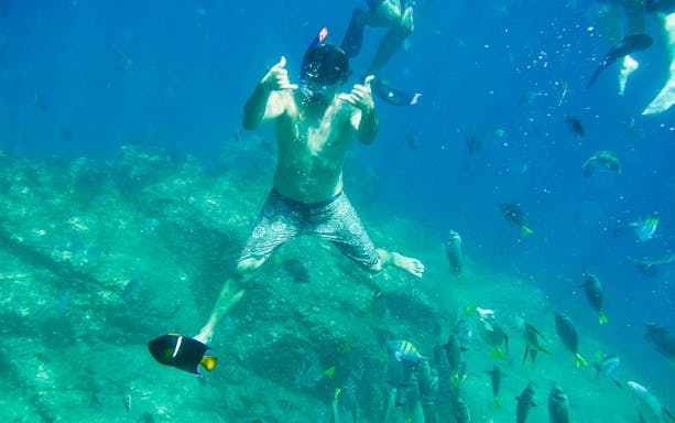 Snorkeler exploring vibrant coral reef with tropical fish on guided tour.