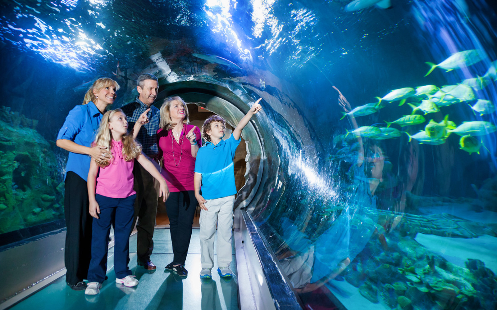 Family exploring underwater tunnel at SEALife Aquarium, part of Madame Tussaud's package at ICON Park, Orlando.