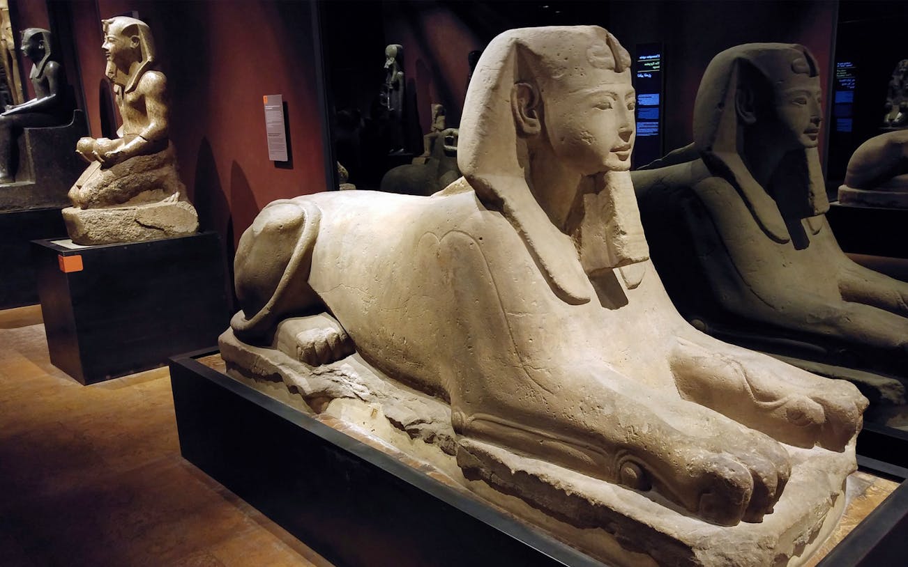 Ancient Egyptian sphinx statues at Museo Egizio, Turin.