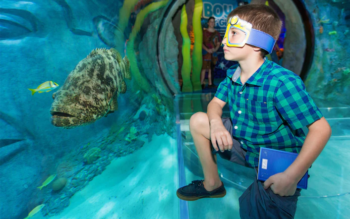 Boy observing fish in an underwater tunnel at SEALIFE Orlando.