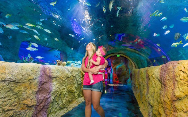 Mother and child walking through underwater tunnel at SEALIFE Orlando.