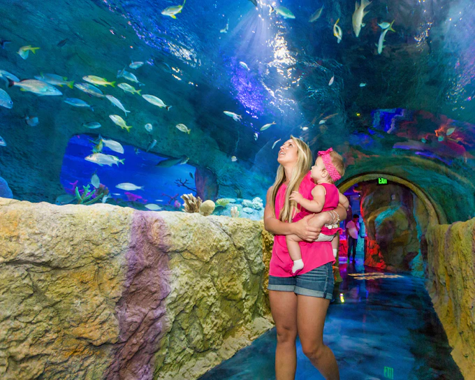 Madame Tussauds & SEA LIFE Orlando: Combo Ticket