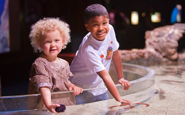 Children exploring touch pool at San Sebastián Aquarium.