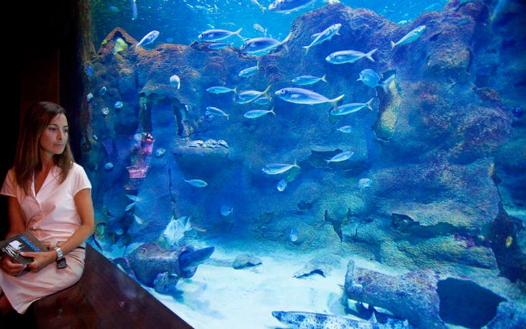 Visit San Sebastián Aquarium