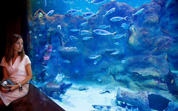 Visitor observing marine life at San Sebastián Aquarium.