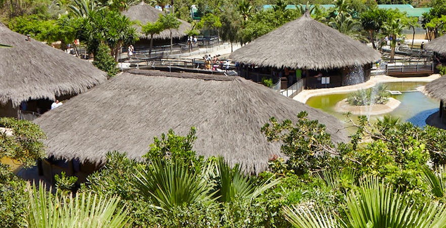 Buy Skip the Line Entry Tickets to Malaga Crocodile Park