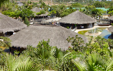 Thatch-roofed huts and lush greenery at Crocodile Park, Spain.