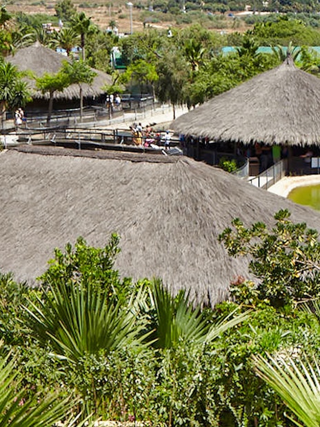 Thatch-roofed huts and lush greenery at Crocodile Park, Spain.