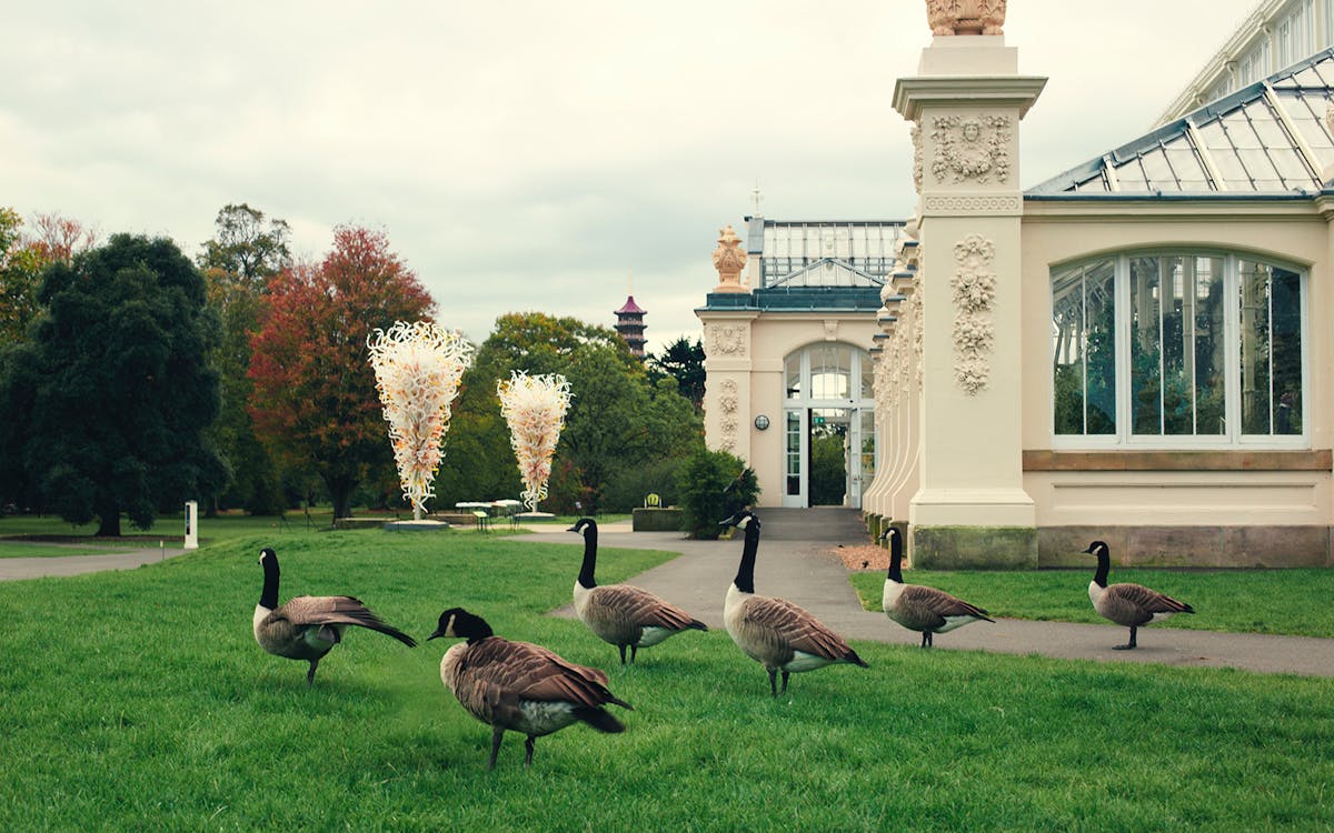 kew gardens walking tour with audio guide (self-guided)-1 kew gardens walking tour with audio guide (self-guided)-1