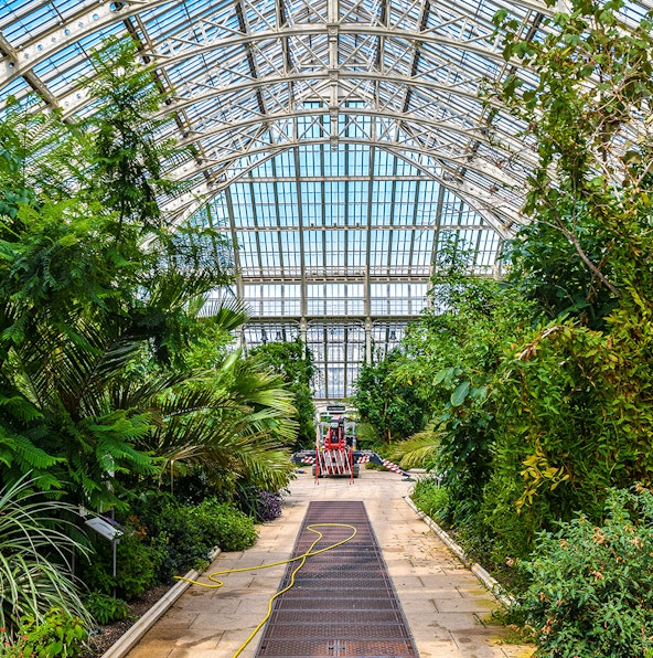 8 top-rated restaurants at Kew Gardens to bookmark