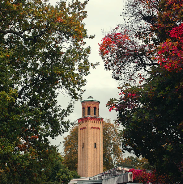 Choose which of the Kew Gardens entrances is right for you