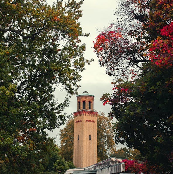 Choose which of the Kew Gardens entrances is right for you