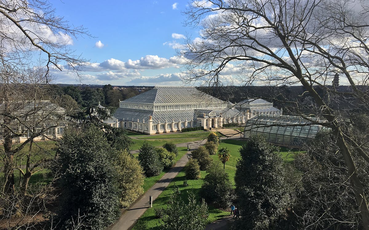 kew gardens walking tour with audio guide (self-guided)-3 kew gardens walking tour with audio guide (self-guided)-3