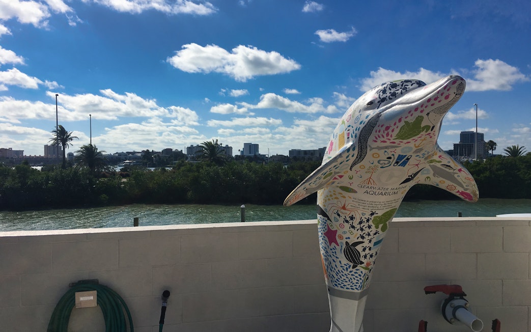 Colorful dolphin statue at Clearwater Marine Aquarium with city skyline in background.