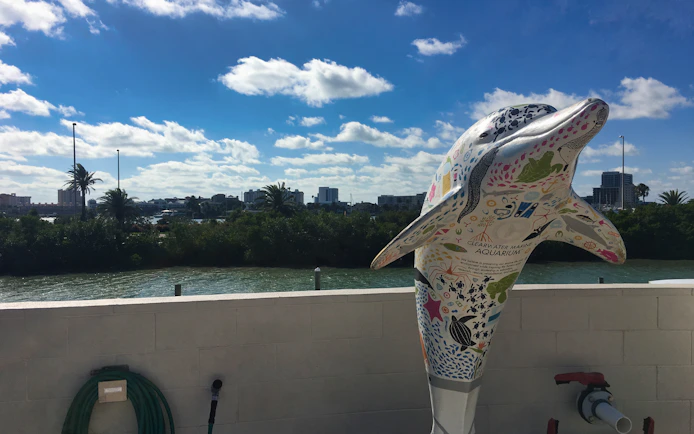 Colorful dolphin statue at Clearwater Marine Aquarium with city skyline in background.