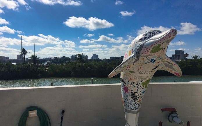 Colorful dolphin statue at Clearwater Marine Aquarium with city skyline in background.