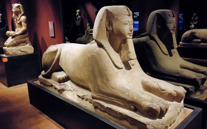 Ancient Egyptian sphinx statues in Turin's Egyptian Museum.