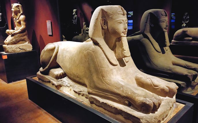 Sphinx statues inside Egyptian Museum during Royal Palace guided tour.