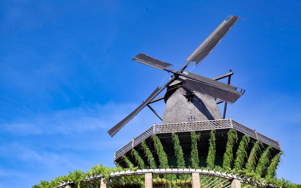 Windmill in Potsdam, Germany, seen on a guided walking tour from Berlin.