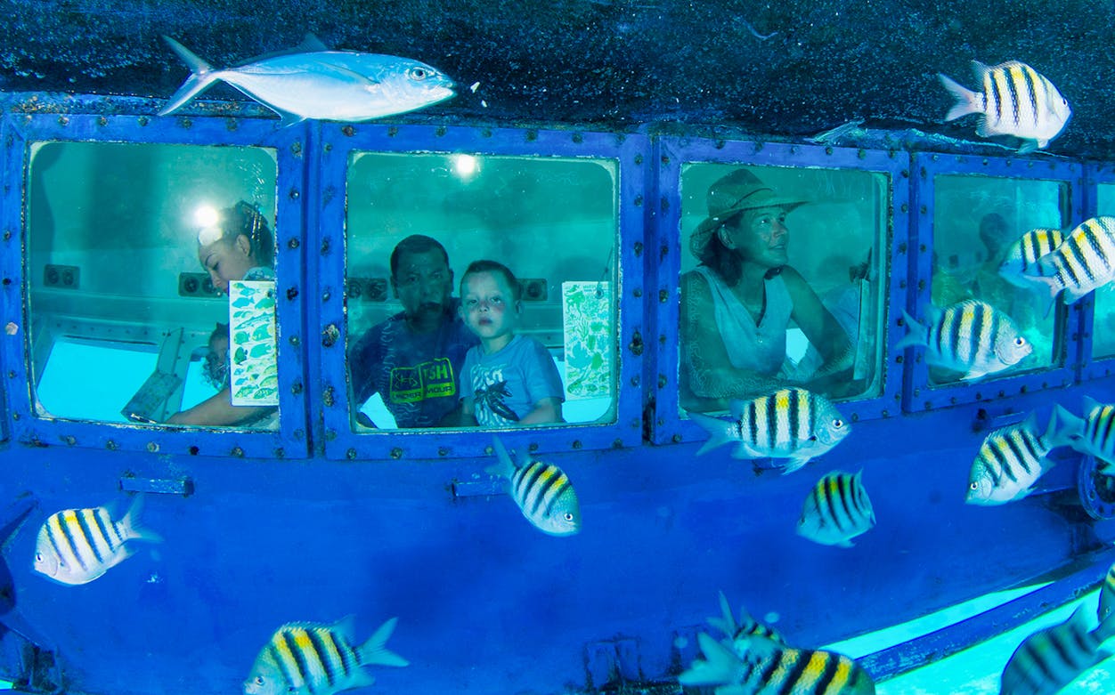Passengers view tropical fish through submarine windows on the Subsee Explorer Tour in Cancun.